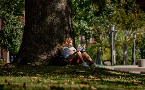 Student outside under a tree looking at a laptop.